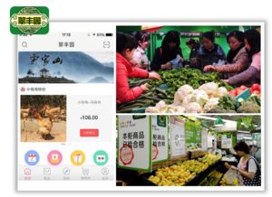3大戰(zhàn)略12個(gè)方法玩轉(zhuǎn)農(nóng)產(chǎn)品新零售 新鮮水果零售實(shí)戰(zhàn)指南